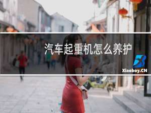 汽车起重机怎么养护