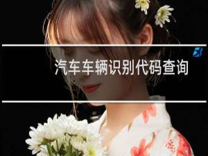 汽车车辆识别代码查询在线（车辆识别代码是什么）