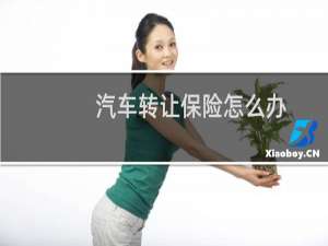 汽车转让保险怎么办