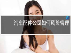 汽车配件公司如何风险管理