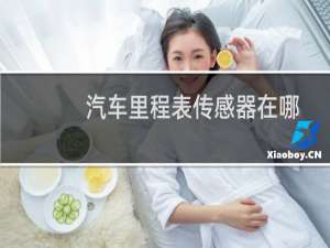 汽车里程表传感器在哪