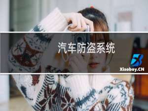 汽车防盗系统