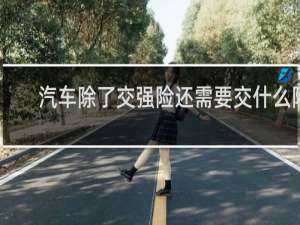 汽车除了交强险还需要交什么险