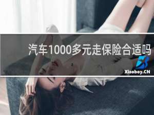 汽车1000多元走保险合适吗