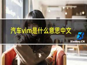汽车vim是什么意思中文