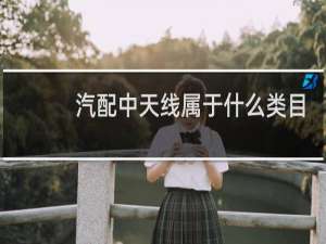 汽配中天线属于什么类目