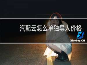 汽配云怎么单独导入价格