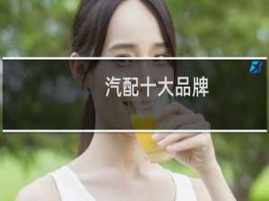 汽配十大品牌