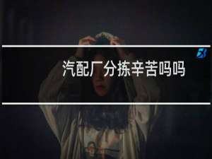 汽配厂分拣辛苦吗吗