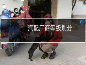 汽配厂商等级划分