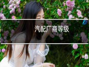 汽配厂商等级