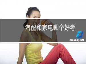 汽配和家电哪个好考