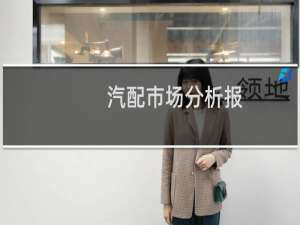 汽配市场分析报