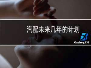 汽配未来几年的计划