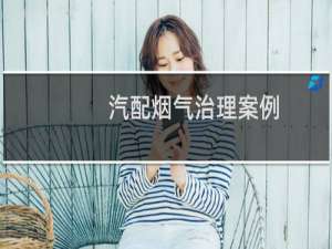 汽配烟气治理案例