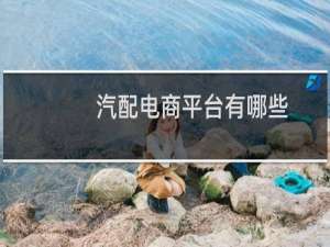 汽配电商平台有哪些