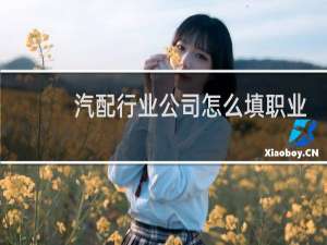 汽配行业公司怎么填职业