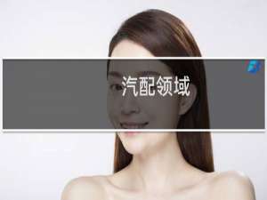 汽配领域