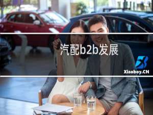 汽配b2b发展