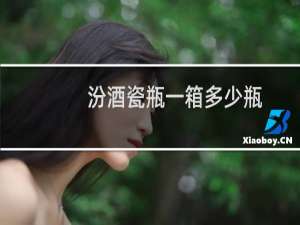 汾酒瓷瓶一箱多少瓶
