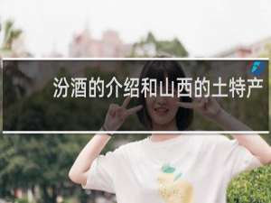 汾酒的介绍和山西的土特产