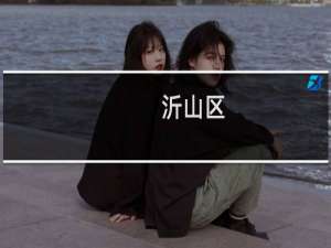 沂山区