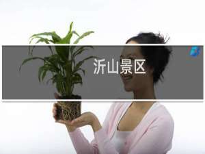 沂山景区