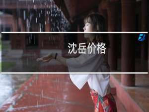 沈岳价格
