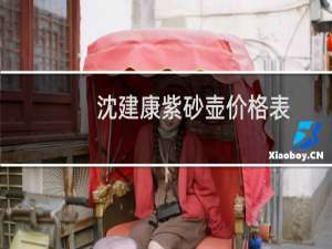 沈建康紫砂壶价格表