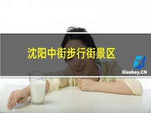 沈阳中街步行街景区