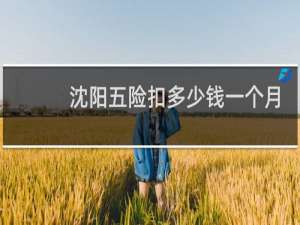 沈阳五险扣多少钱一个月