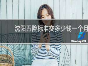 沈阳五险标准交多少钱一个月