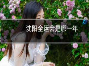 沈阳全运会是哪一年