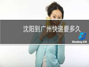沈阳到广州快递要多久