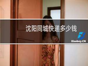 沈阳同城快递多少钱