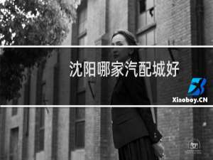 沈阳哪家汽配城好