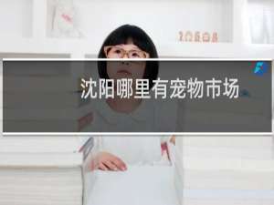 沈阳哪里有宠物市场