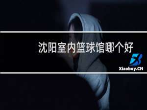 沈阳室内篮球馆哪个好