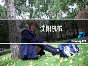 沈阳机械
