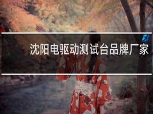 沈阳电驱动测试台品牌厂家
