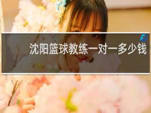 沈阳篮球教练一对一多少钱