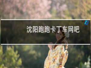 沈阳跑跑卡丁车网吧