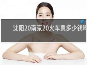 沈阳 南京 火车票多少钱啊