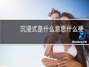 沉浸式是什么意思什么梗