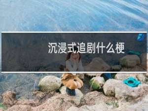 沉浸式追剧什么梗