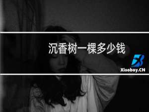 沉香树一棵多少钱