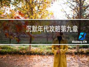 沉默年代攻略第九章
