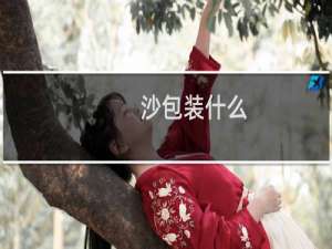 沙包装什么