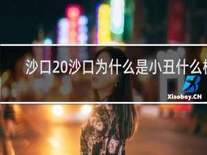 沙口 沙口为什么是小丑什么梗