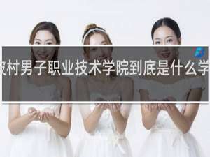 沙坡村男子职业技术学院到底是什么学校什么梗
